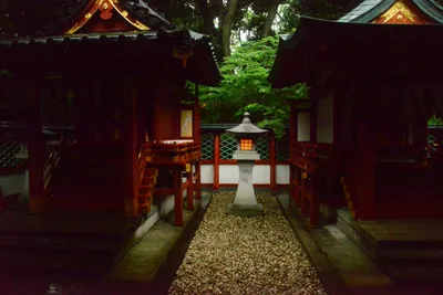 DSC_3205 (Large).JPG